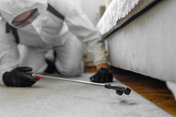 Professional Termite Control technician working in Cortland County County, NY